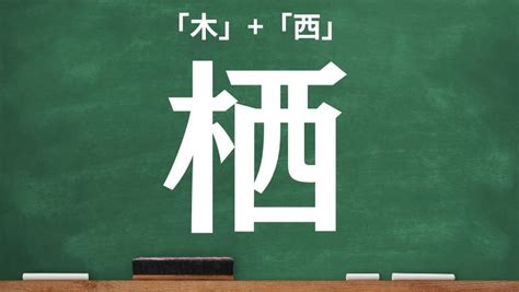 木羽 漢字|木へんに羽の読み方は？「栩」の2つの音読み訓読み